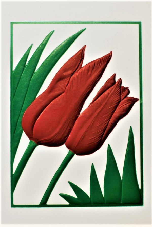 Tulip