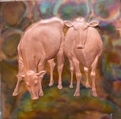 Copper Cows