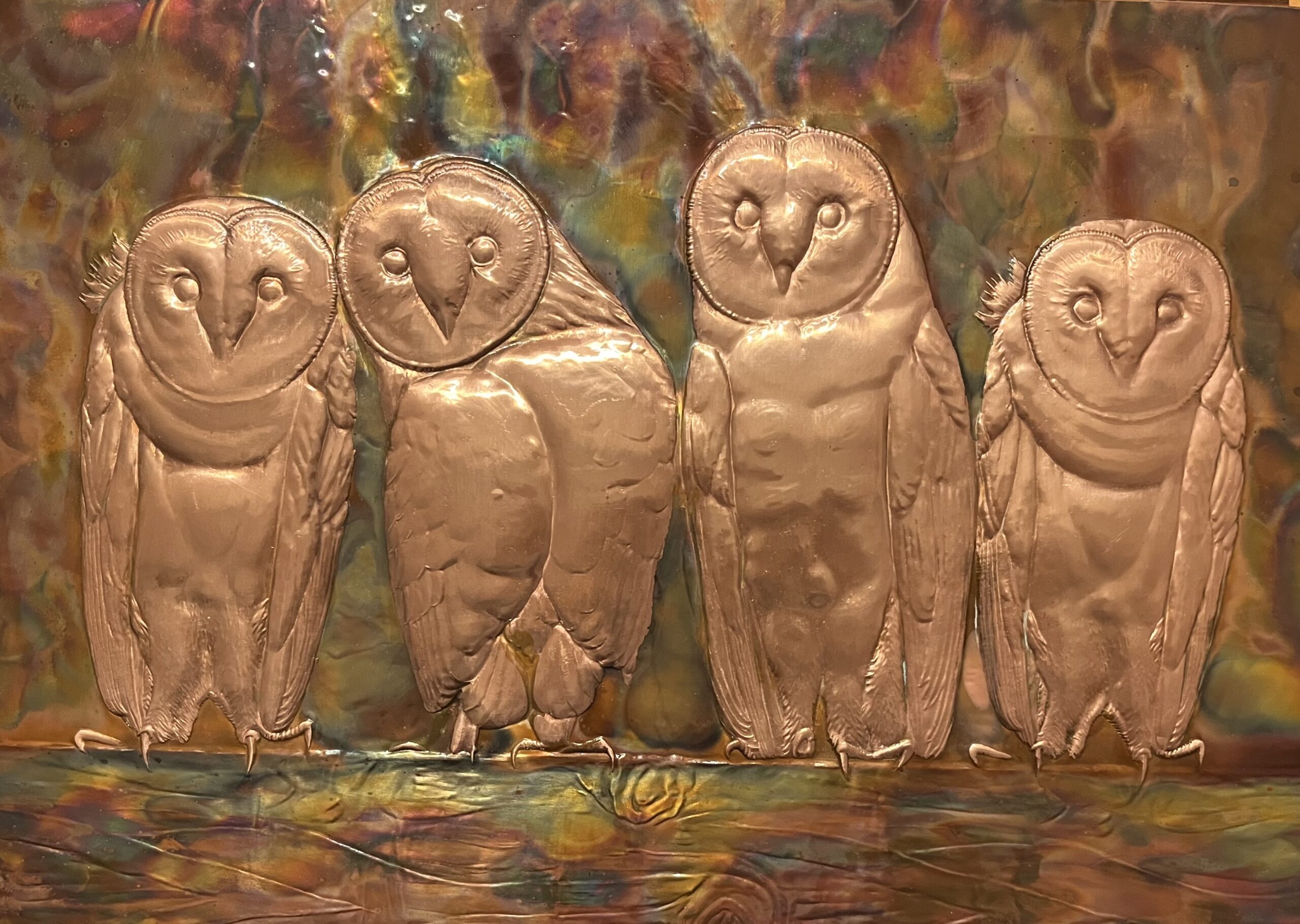 Copper Four Barn Owls